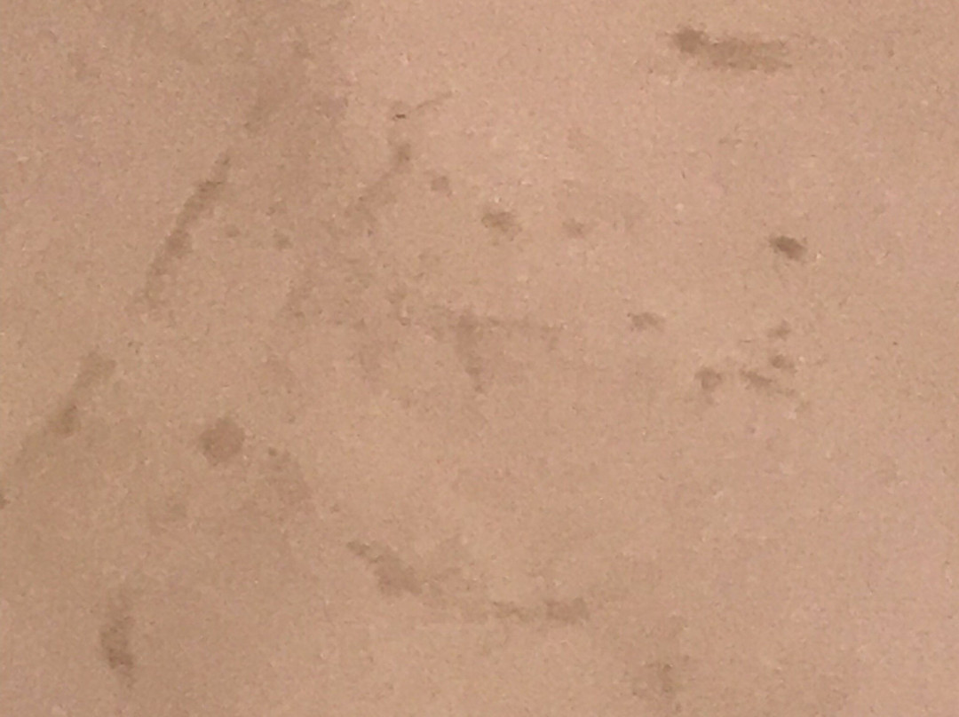 Uphill酒店住宿-Camellia Lodge Guest House