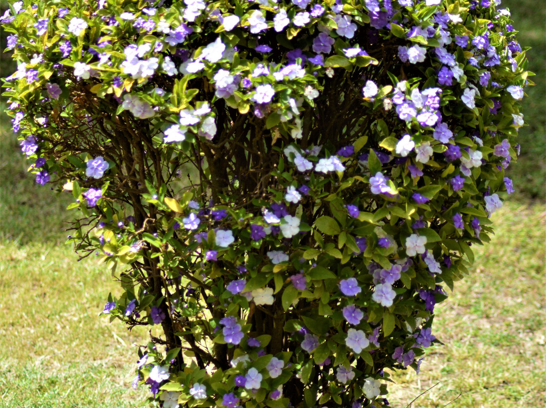 Massai Ostrich Resort & Farm-Kajiado必去景点