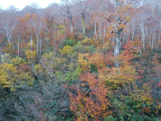 Gassan Resort Inn主图