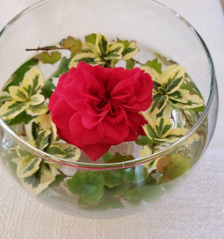 Metinella-蒙特普尔恰诺必去景点