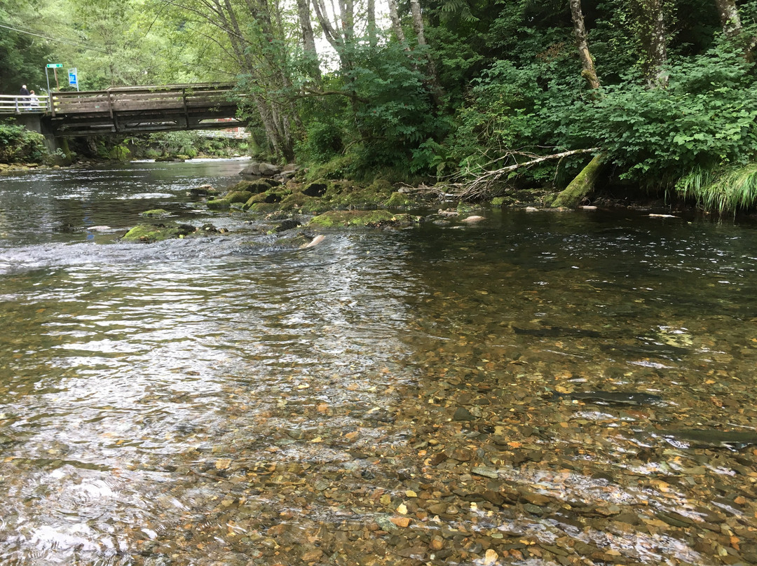 City Park of Ketchikan-凯奇坎必去景点