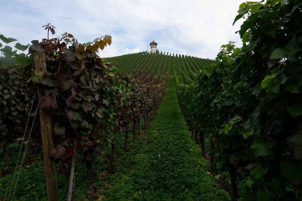 Rebhauschen am Bodensee景点图片