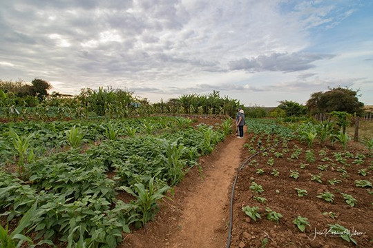 El Karama Lodge主图