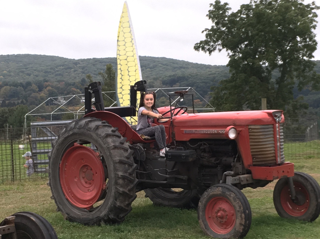 Riverview Farms-Glastonbury必去景点