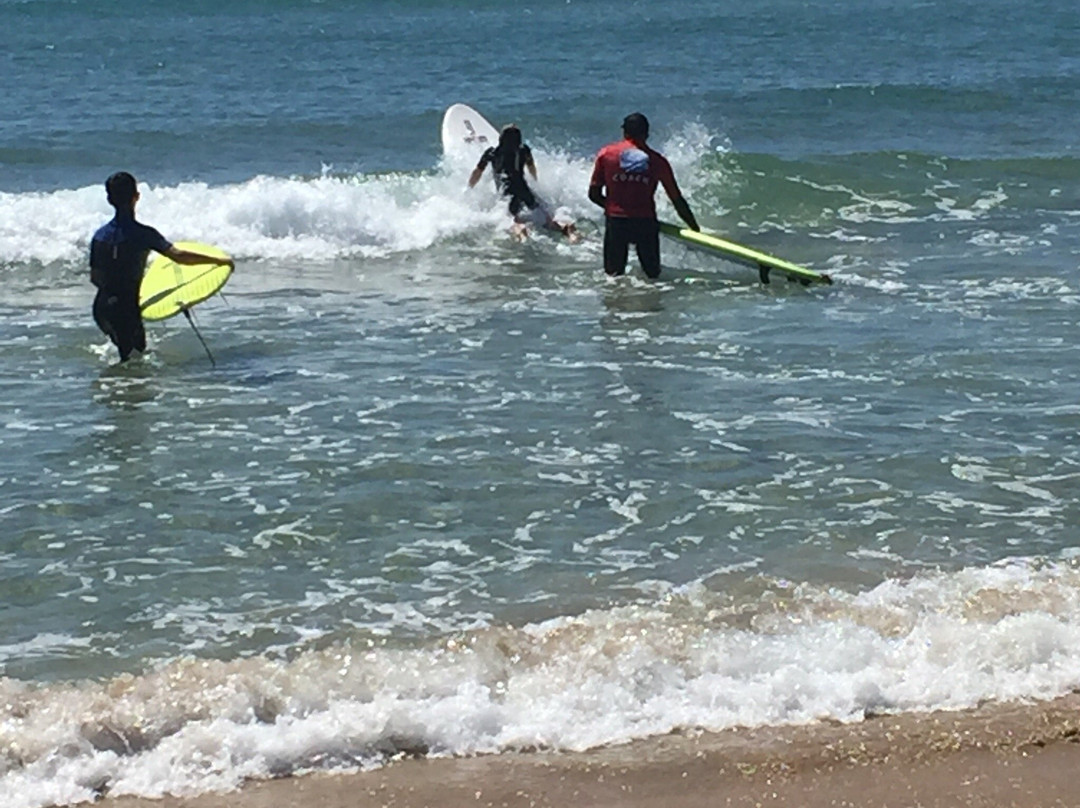 Trent Munro Surf Academy-西南岩必去景点