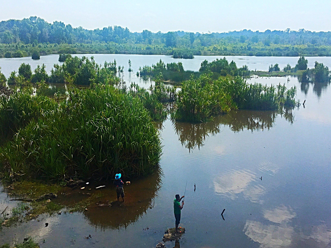 Tasek Bera-而连突必去景点