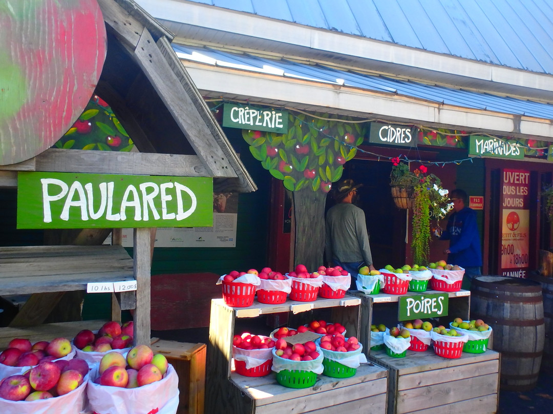 Vergers Petit et Fils-Mont-Saint-Hilaire必去景点