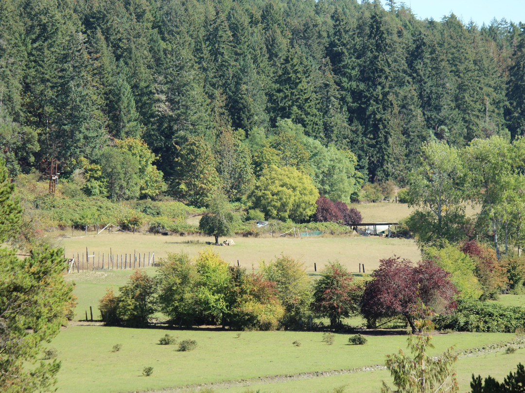 Pender Island Golf & Country Club-Pender Island必去景点