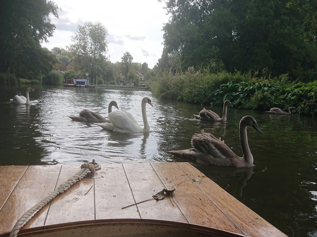 Farncombe Boat House景点图片