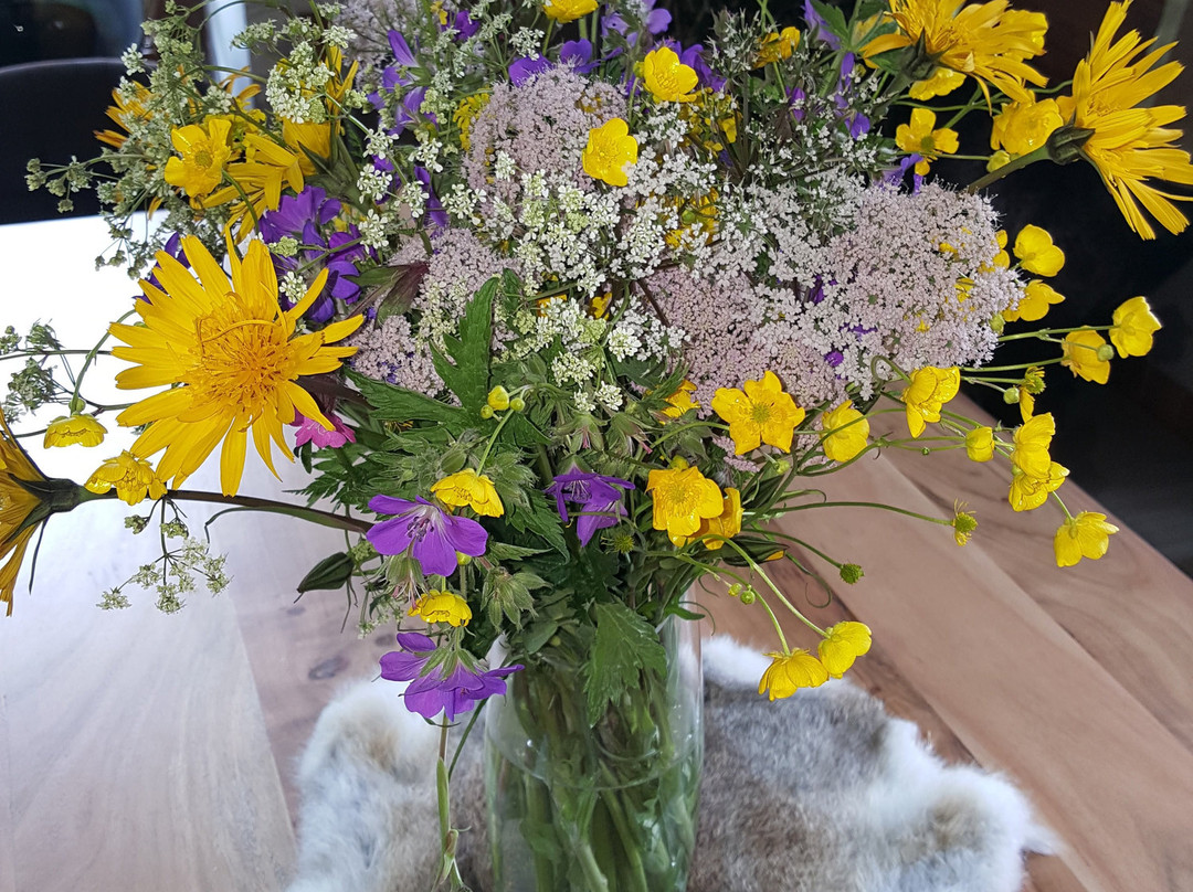 Gasthaus Berkhout主图