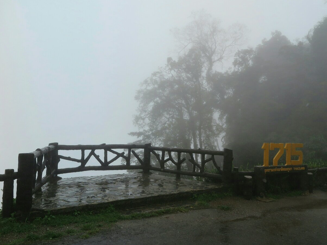 Doi Phu Kha Viewpoint景点图片