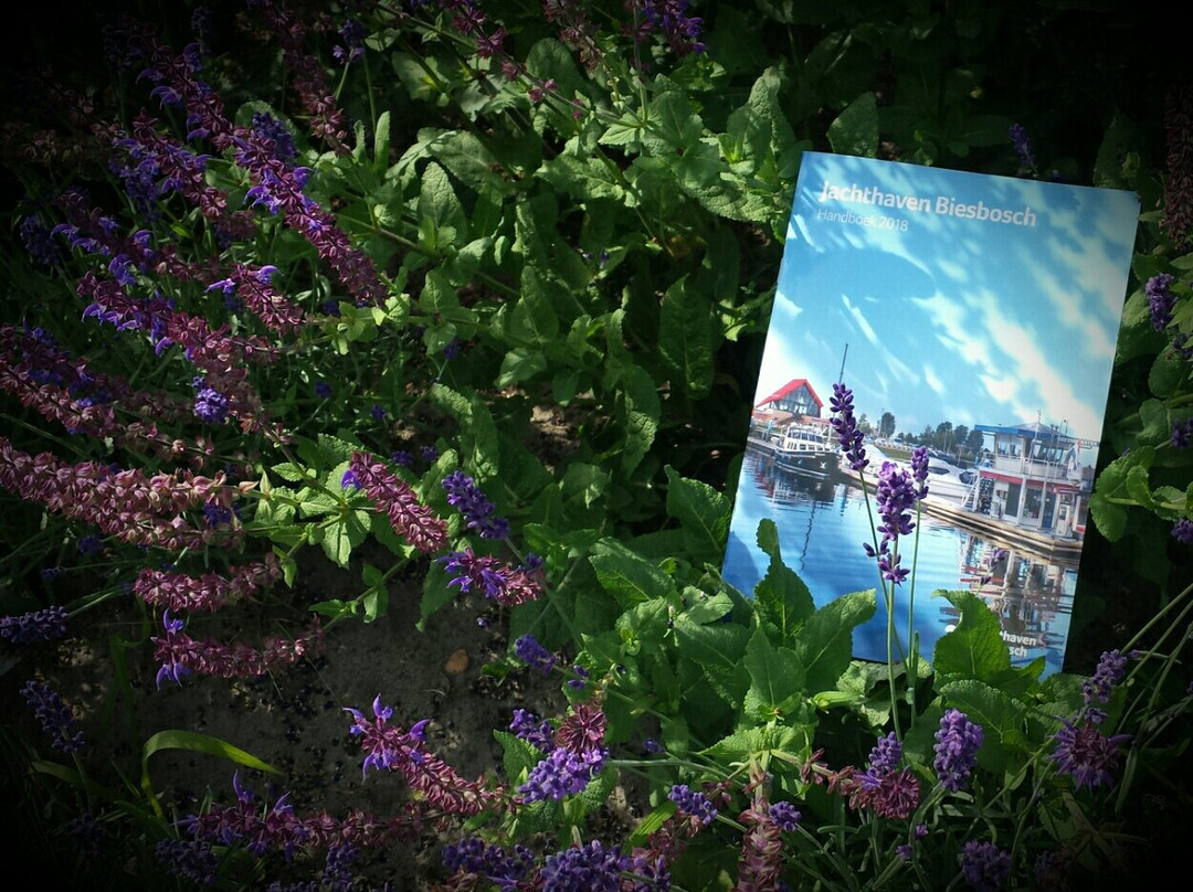Jachthaven Biesbosch-Drimmelen必去景点