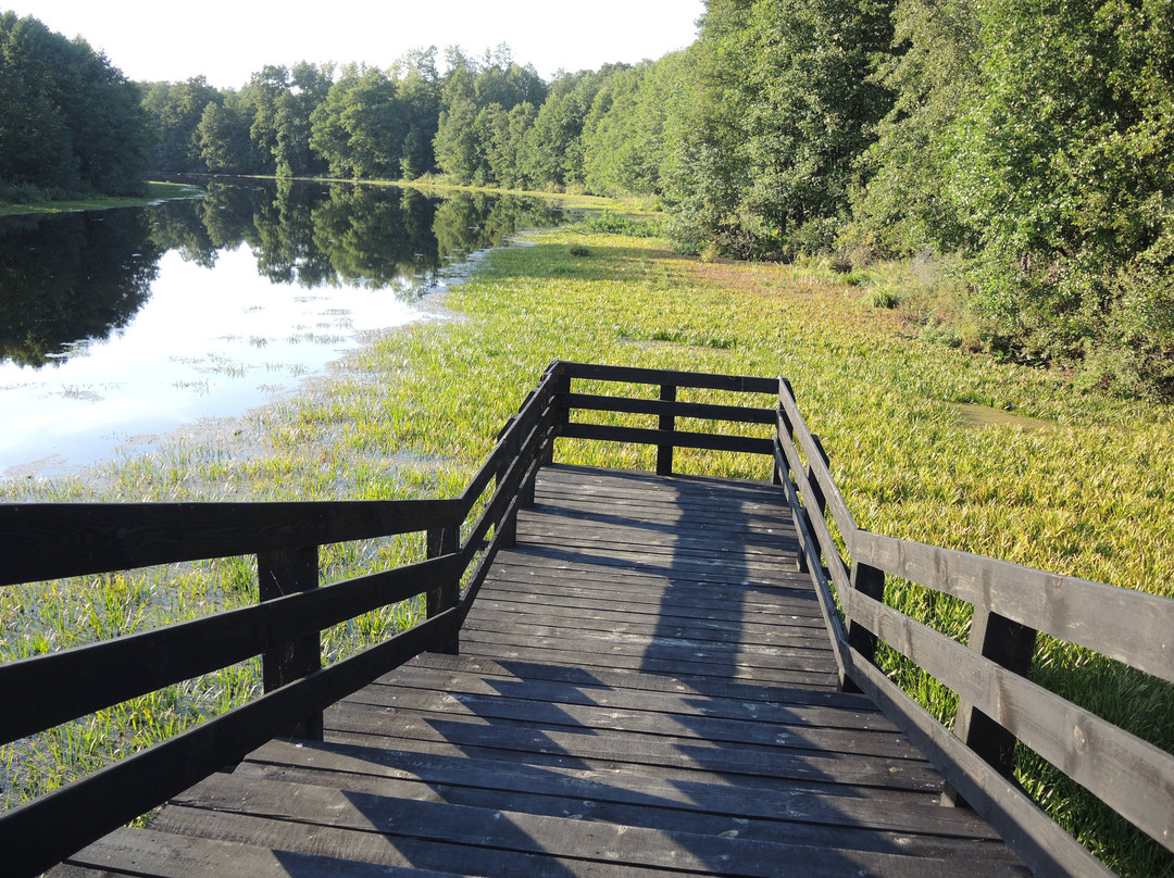 Krasnoslobodsk旅游景点-Mordovia State Reserve