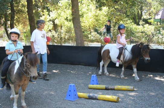 Centre Equestre du Frigouye-Rochefort du Gard必去景点