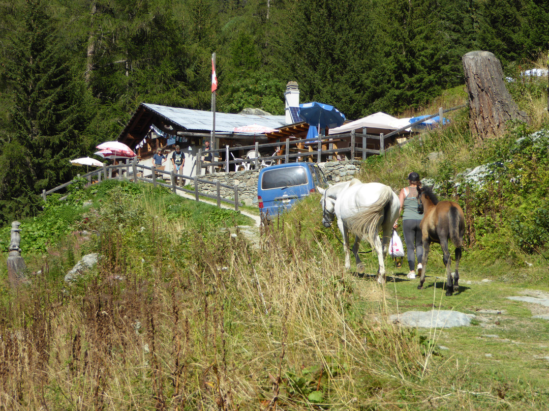 Grand Bisse de Vercorin-Vercorin必去景点