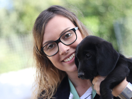 Feijao Verde Fun Park-科英布拉区必去景点