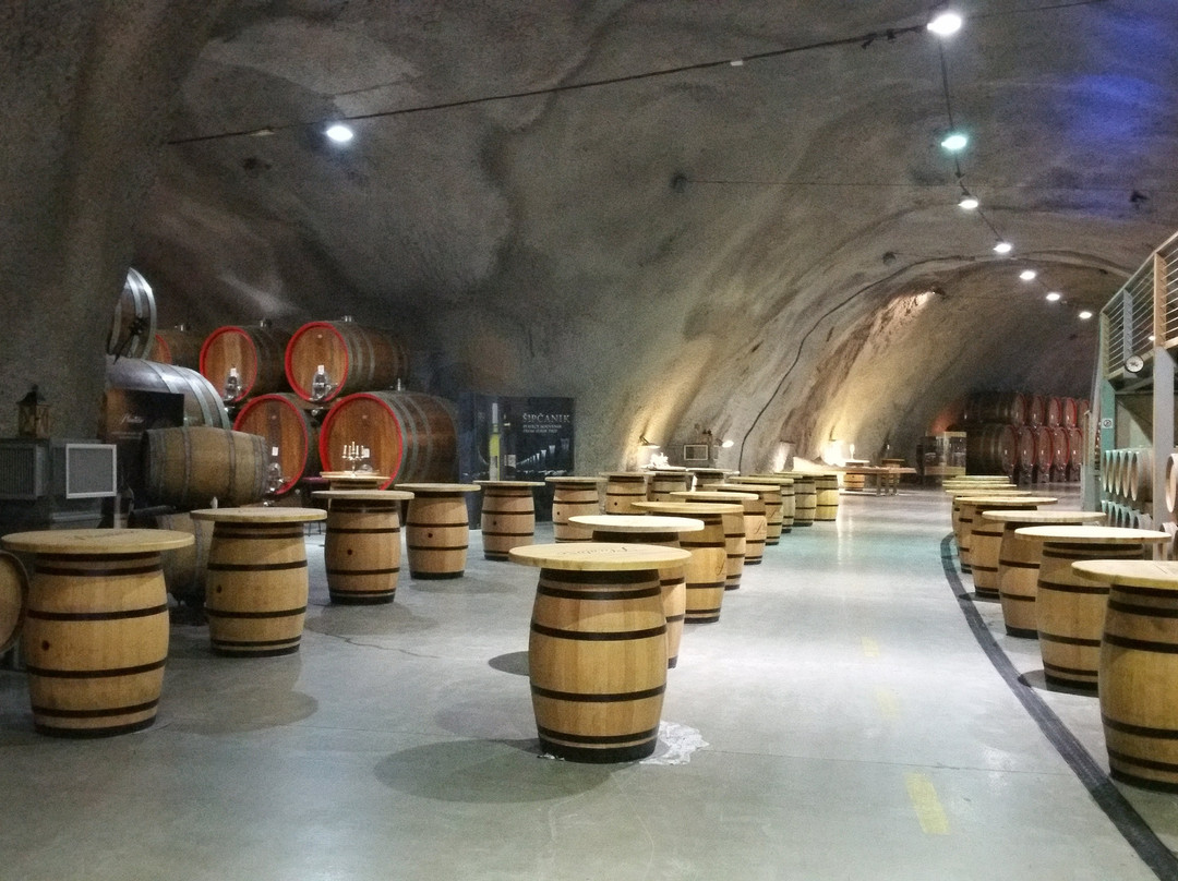 Wine Cellar Šipčanik, 13.jul Plantaže-Tuzi必去景点