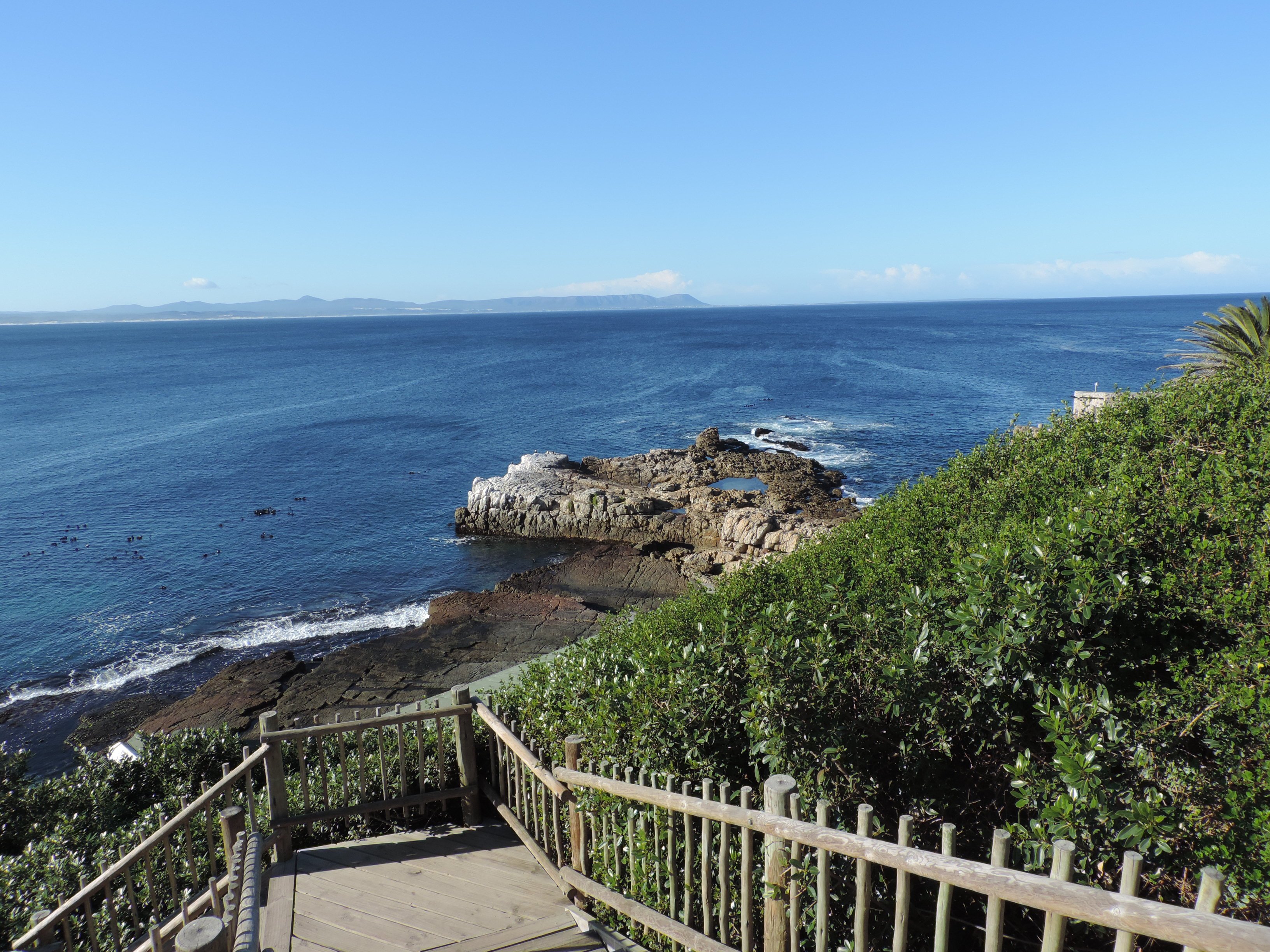 Whale Coast All Suite Hotel-酒店景观