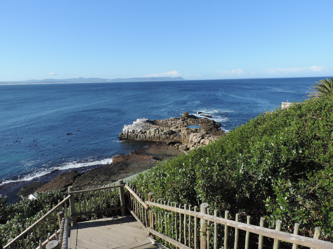 Whale Coast All Suite Hotel主图