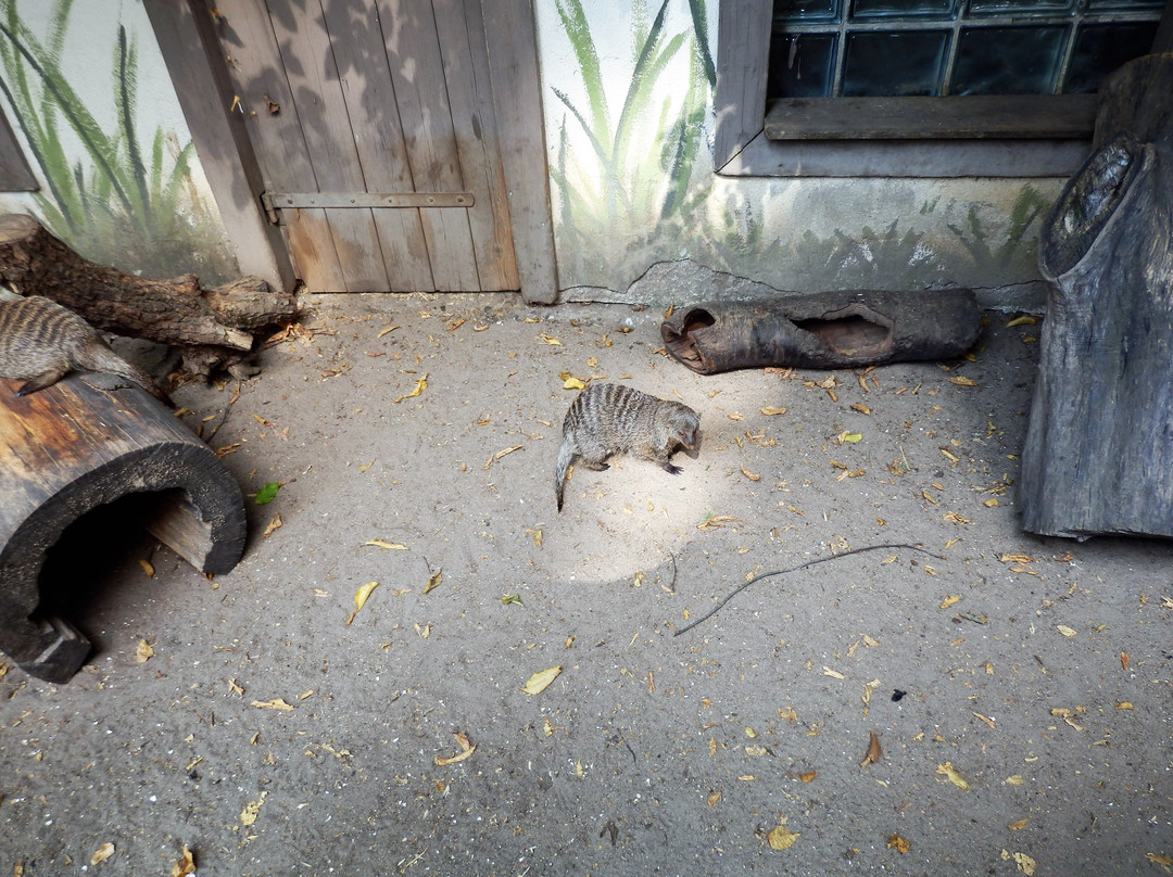 Tierpark景点图片