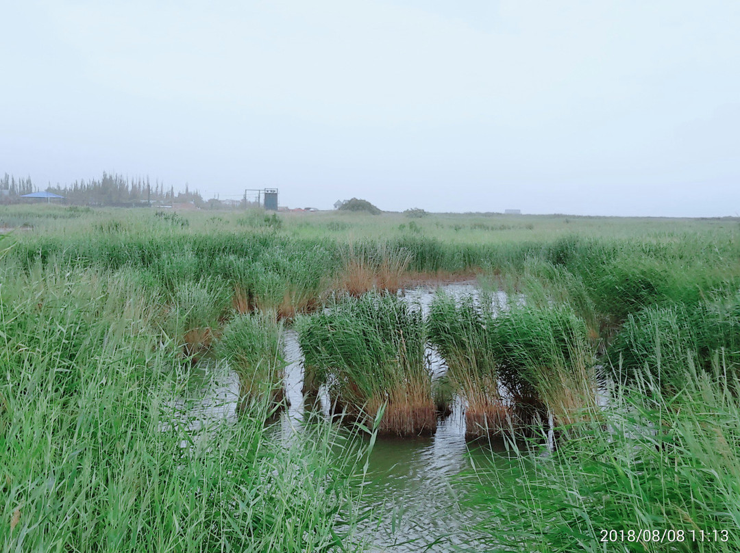 相思湖-焉耆回族自治县必去景点