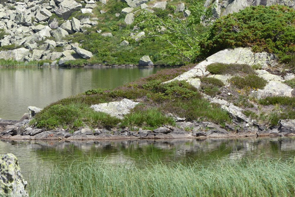 Etang d'Arbu