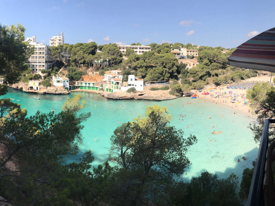 Hostal Palmaria主图