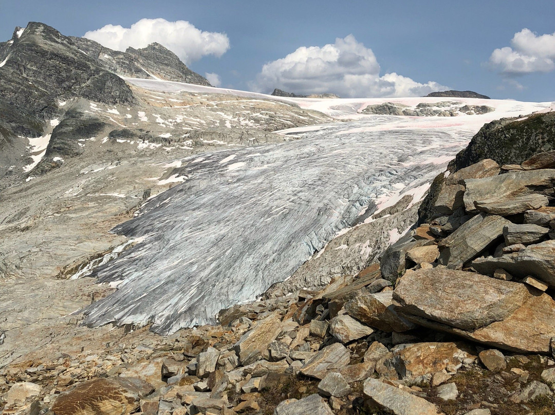 Glacier Crest Trail景点图片
