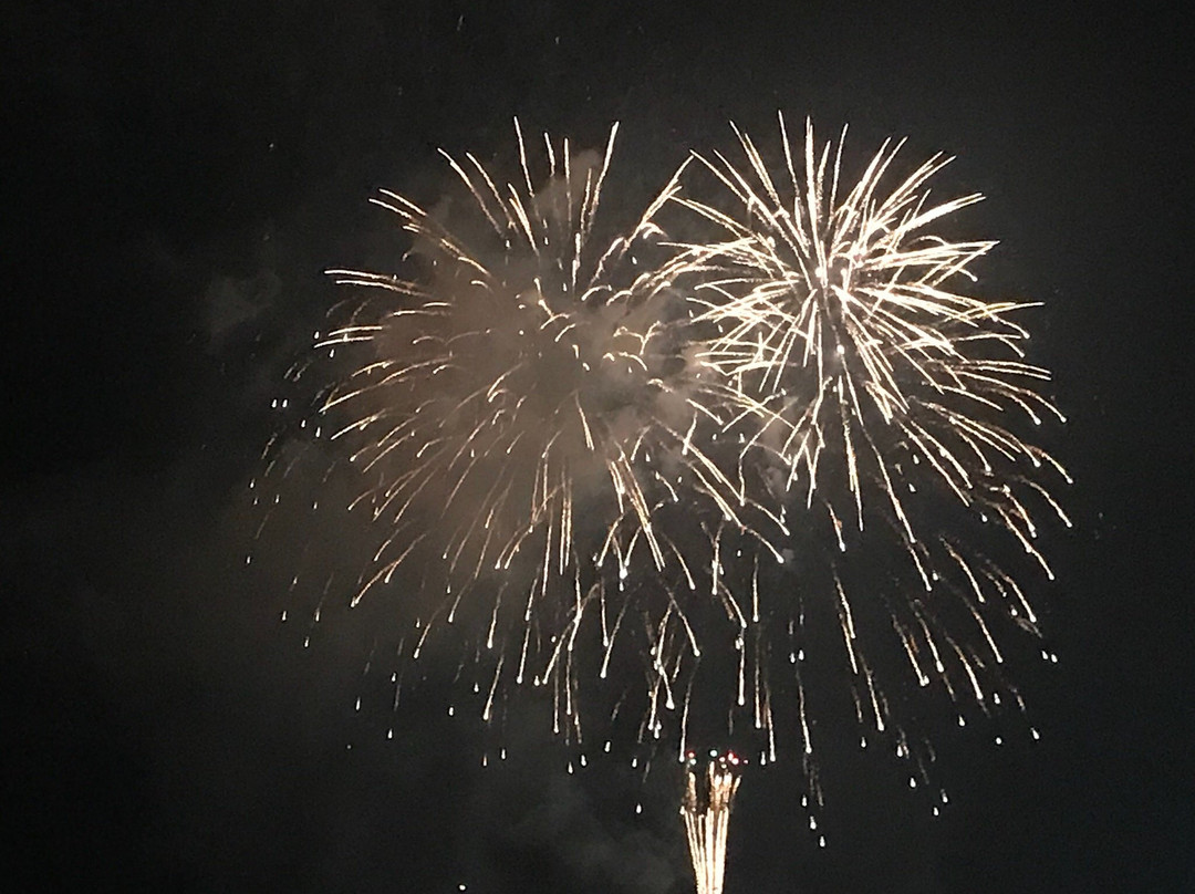 Yokosuka Kaikokusai Fireworks景点图片