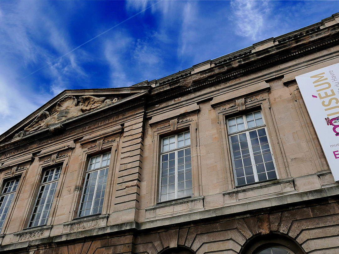 Muséum d'Histoire Naturelle景点图片