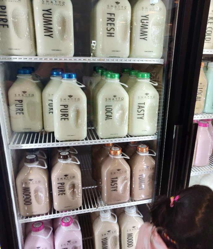 Shatto Dairy-Osborn必去景点