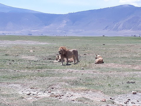 Safari Kenya Con Samuel-瓦塔木必去景点