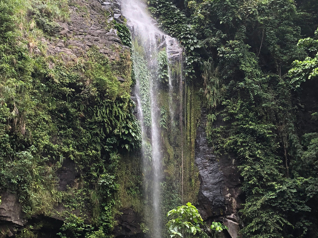 Tigaon旅游攻略图片