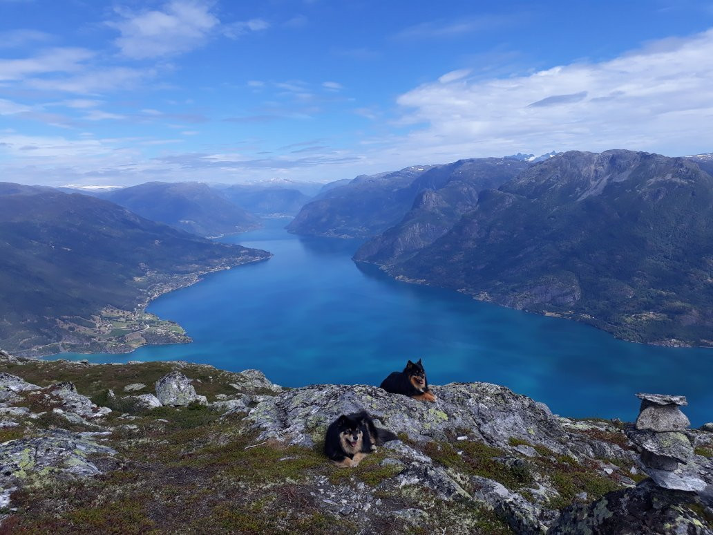 Hafslo旅游攻略图片