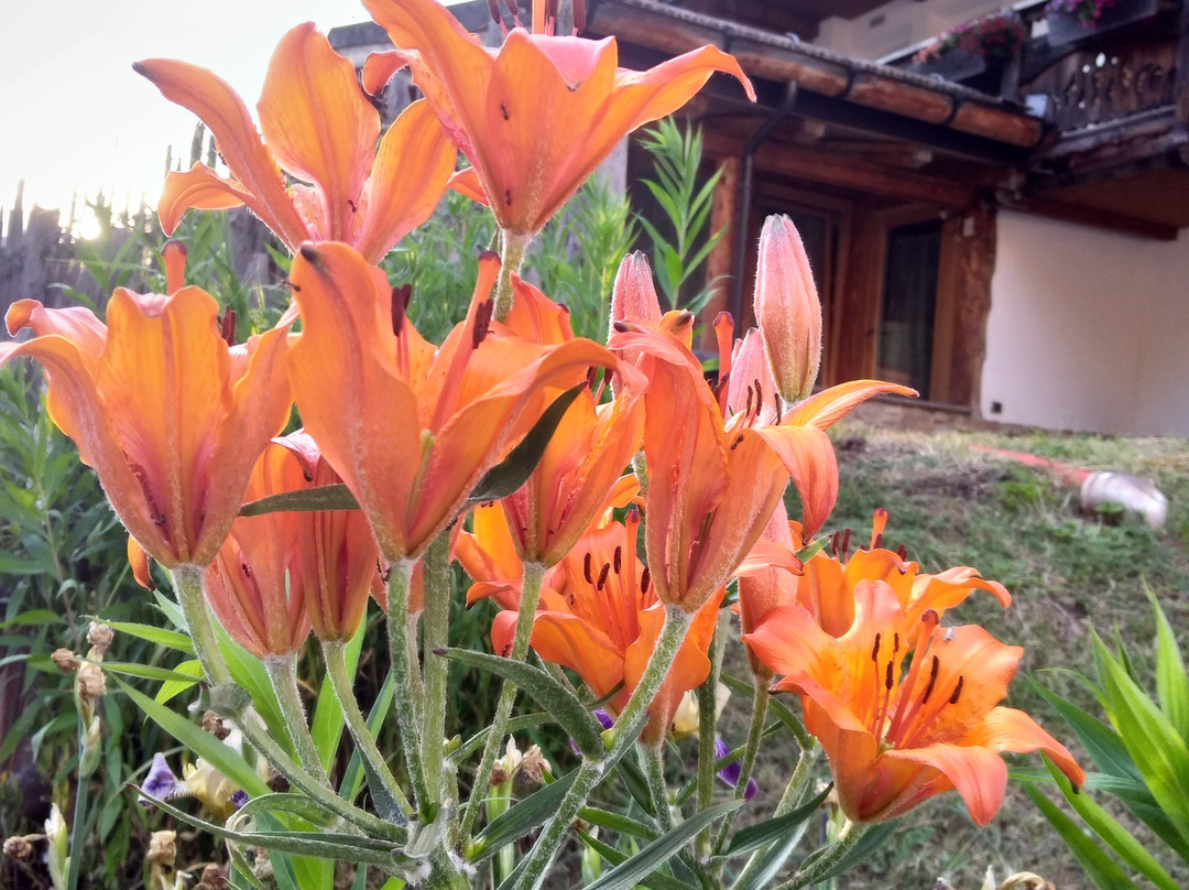 Col Da La Vila主图