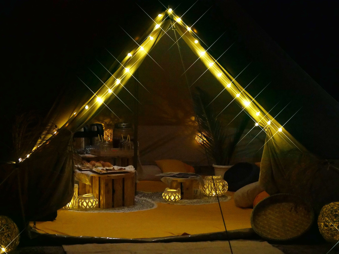 Sealife Experience Turtle Watching-圣塔玛丽亚必去景点