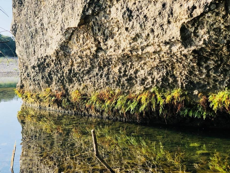 Neal's Lodges-Concan必去景点