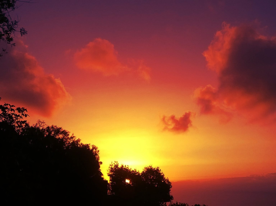 La Matanza de Acentejo酒店住宿-Hotel Emblemático Casa Casilda