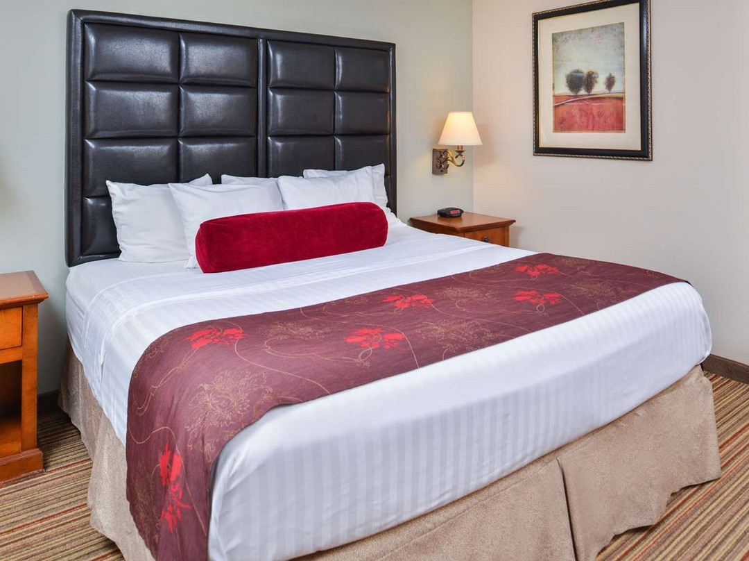 Best Western Plus Rama Inn主图