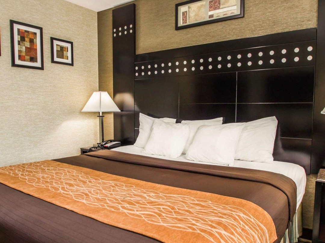 Rodeway Inn Bronx Zoo主图