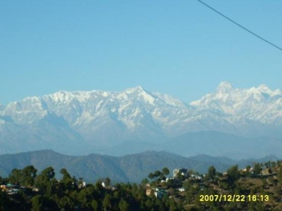 New Dolma Guest House主图