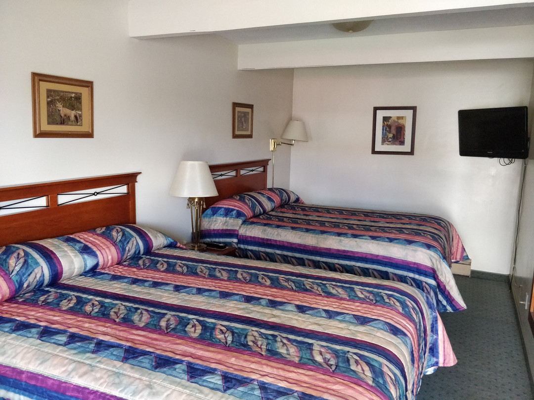 Siesta Inn Motel主图