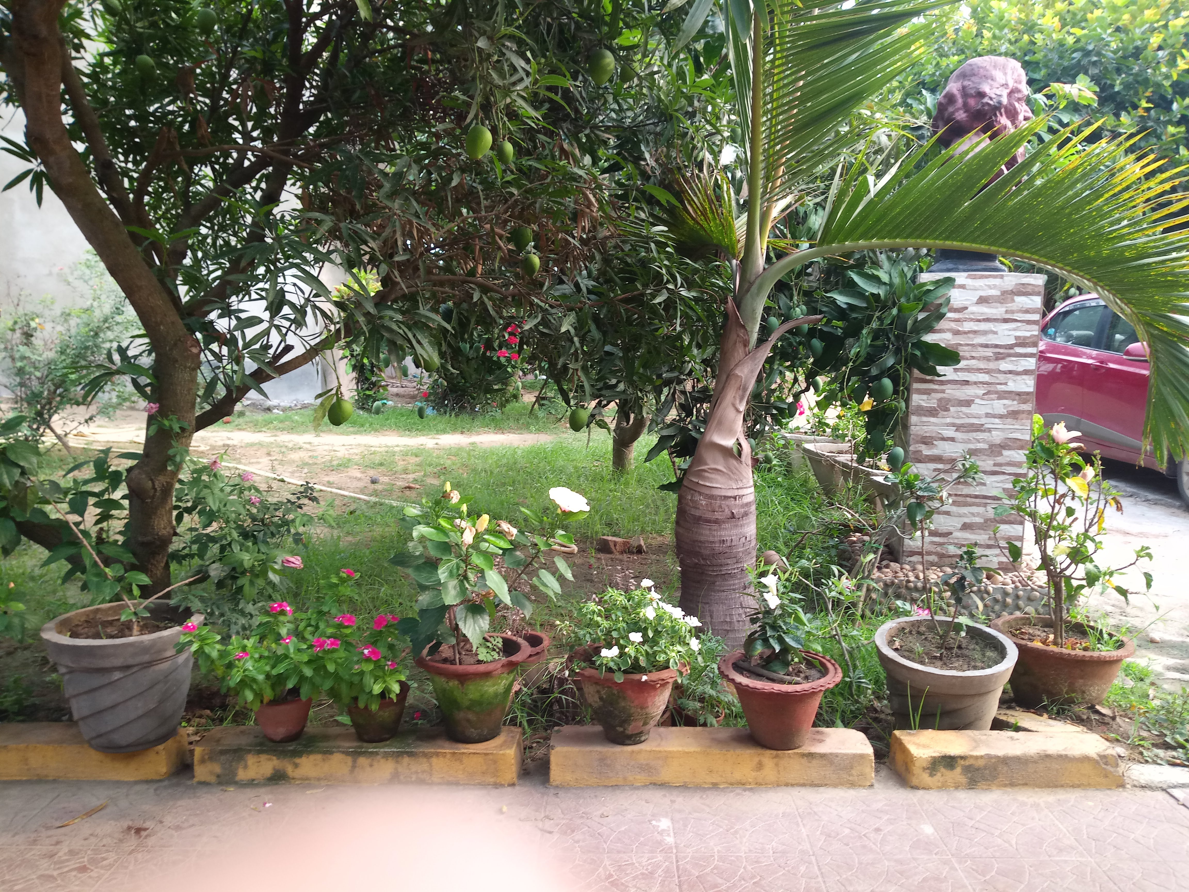 Rangamati Garden Resort-浴室