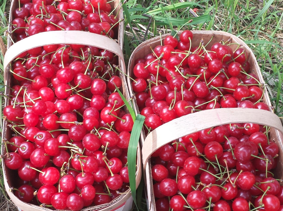 20 Valley Harvest Farms景点图片