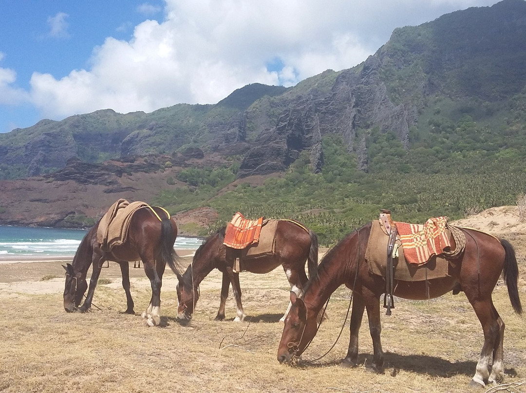 Nuku-Hiva on horseback-Nuku Hiva必去景点