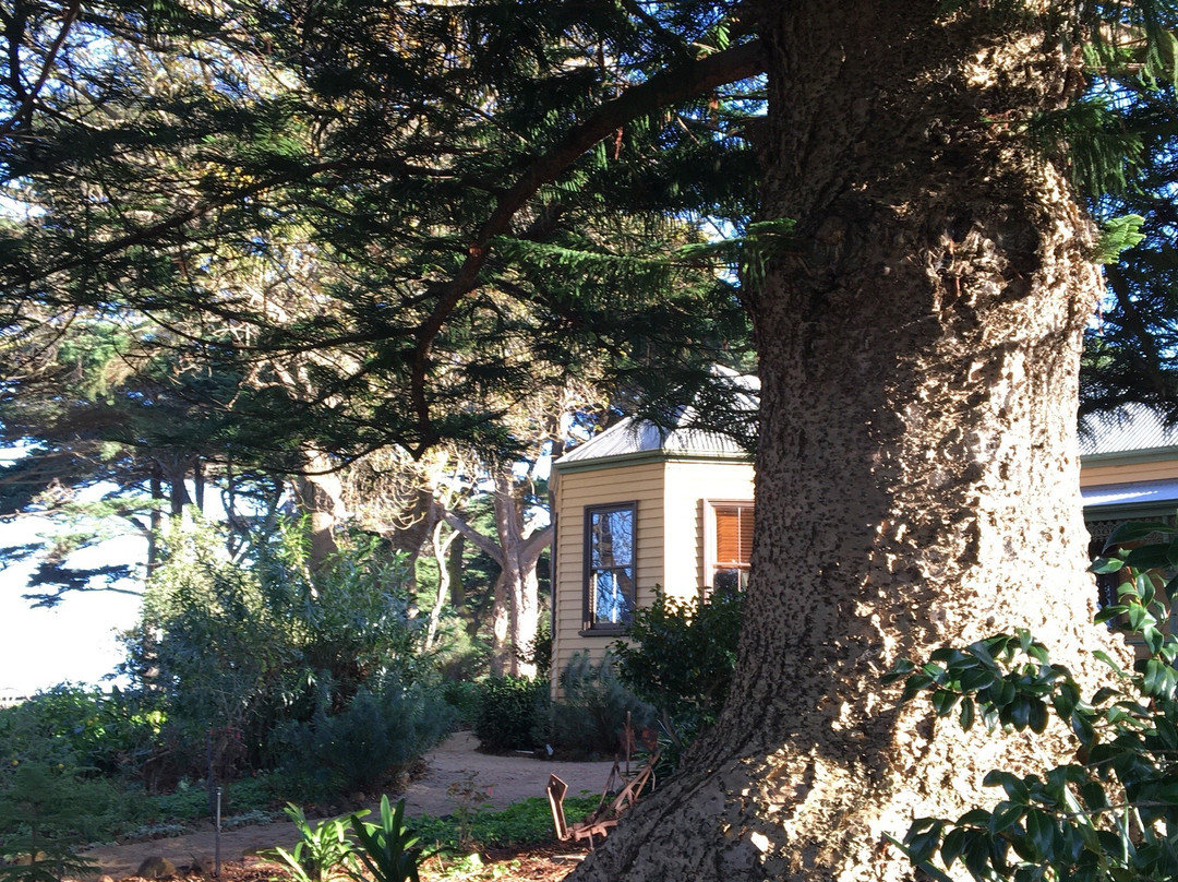 Amess House-菲利普岛必去景点