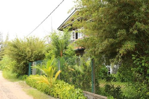 The Rock House主图