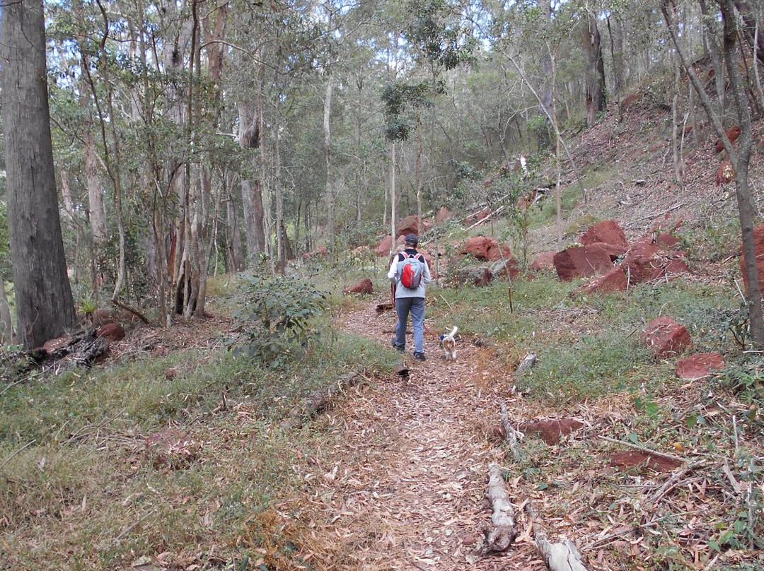 Lilydale旅游攻略图片