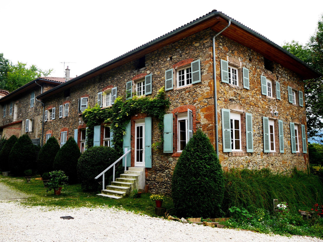 Château le Clément