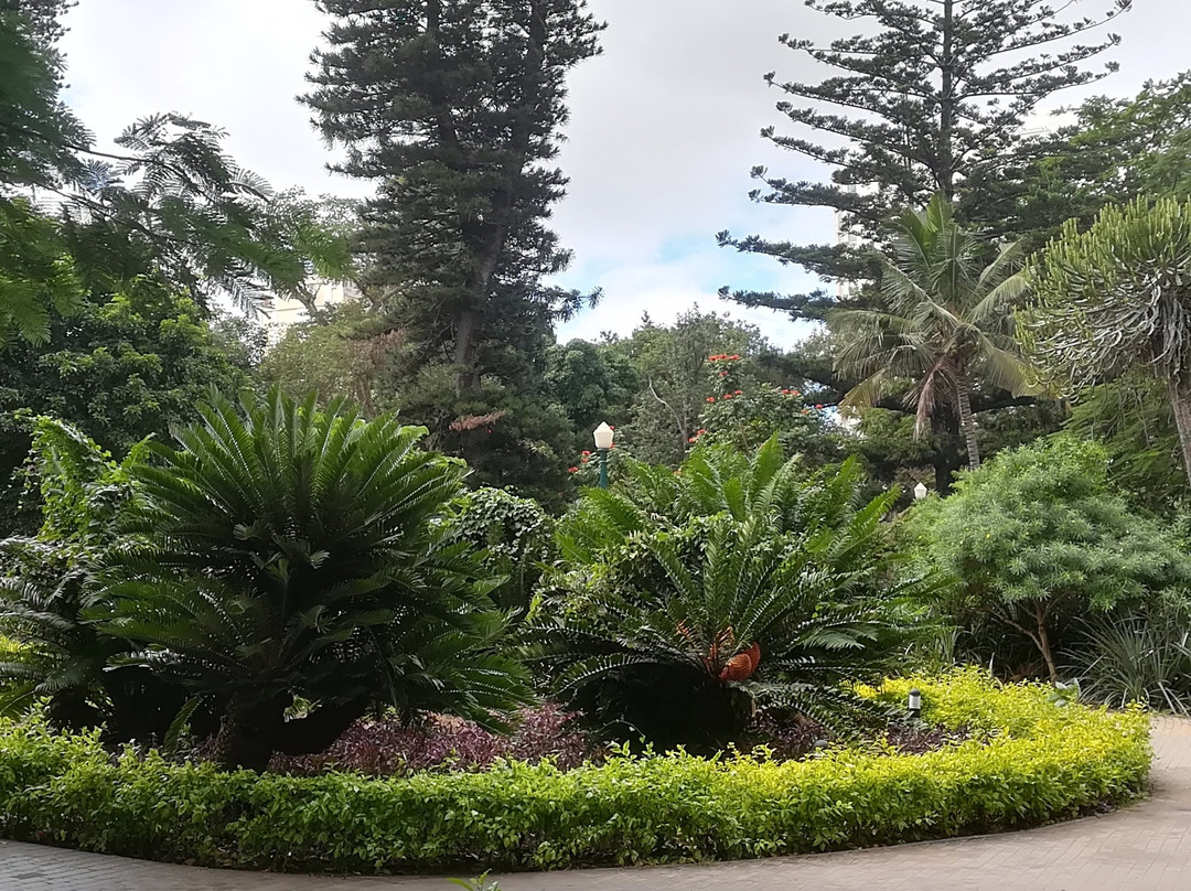 Sasekile Africa - Guided Tours & Transfers-玛洛斯帕克必去景点